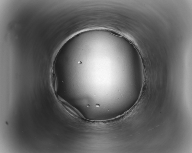 X0000088221524200705292103