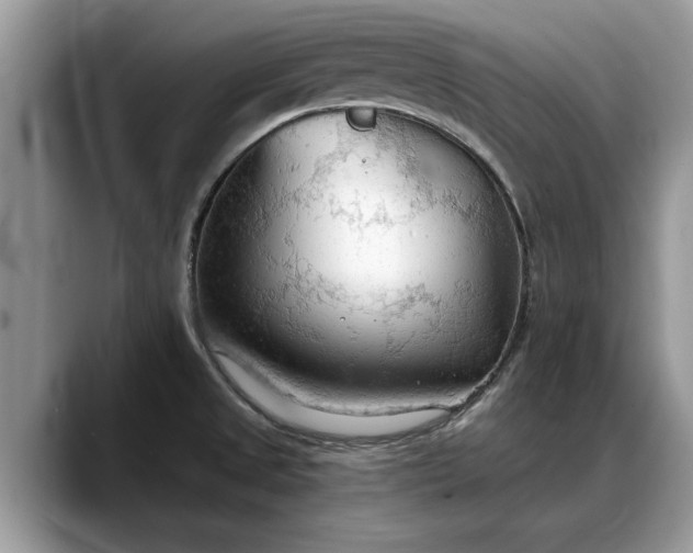 X0000088221525200705292103