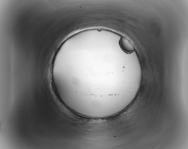 X0000088221526200705292103