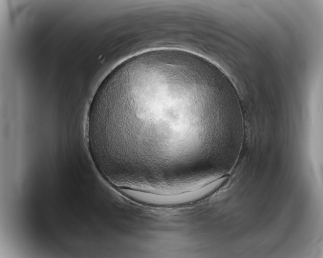 X0000088221527200705292103