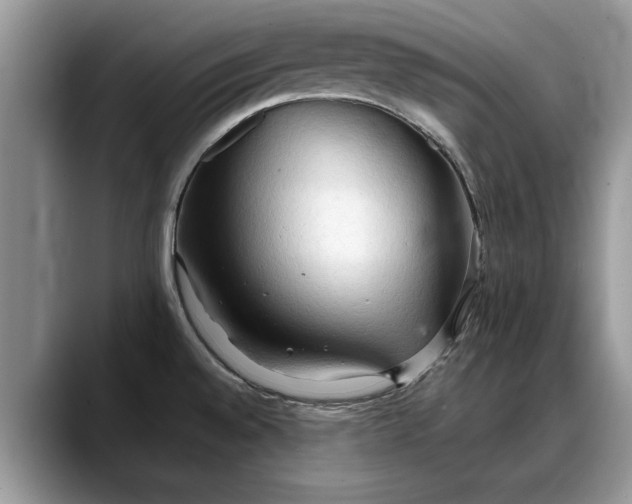 X0000088221528200705292103