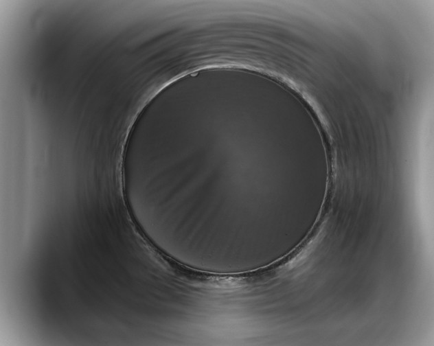 X0000088221529200705292103