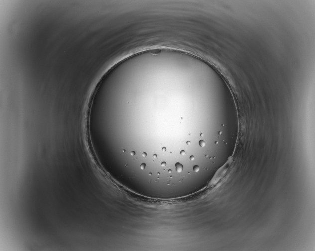 X0000088221530200705292103