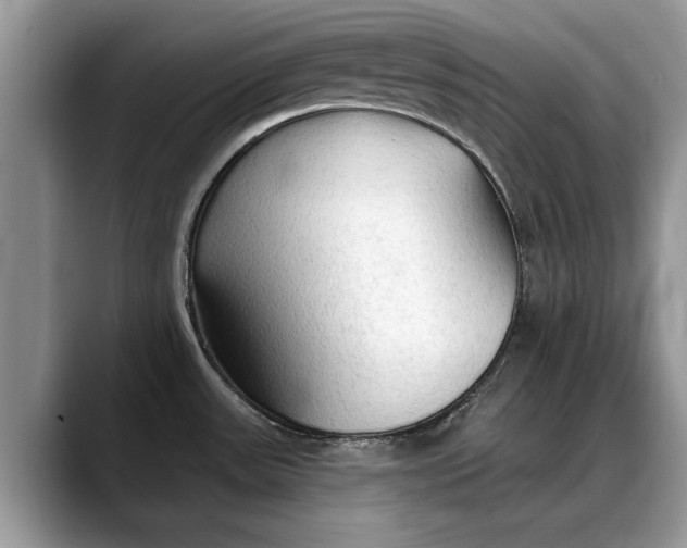 X0000088221531200705292103