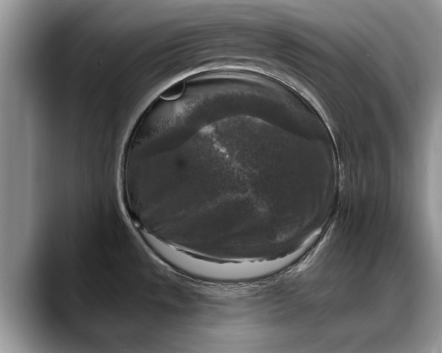 X0000088221533200705292103