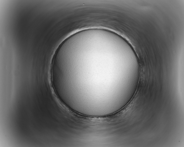 X0000088221534200705292103