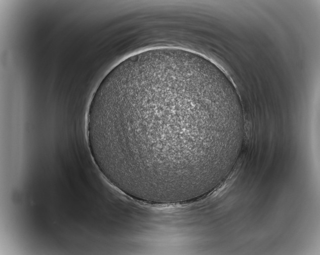 X0000088221535200705292103