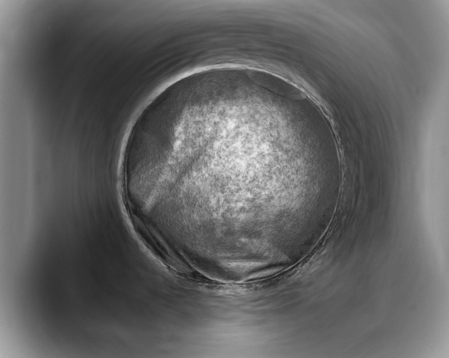 X0000088221536200705292103