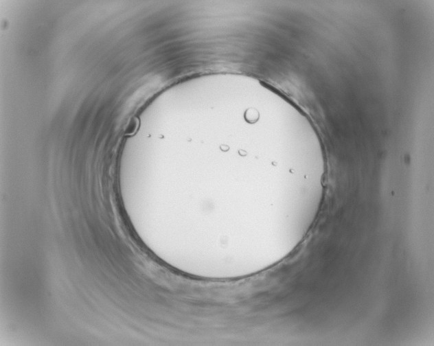 X0000088220001200706051334