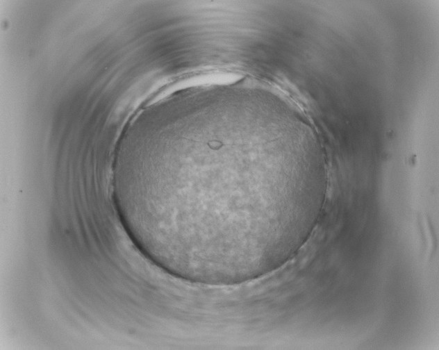 X0000088220002200706051334