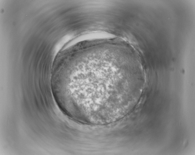 X0000088220003200706051334