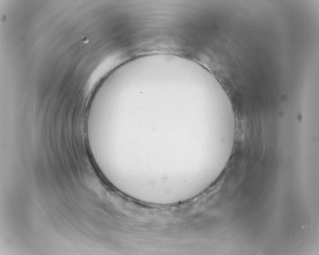 X0000088220004200706051334