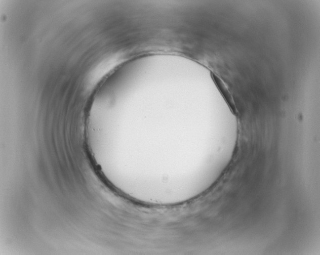 X0000088220005200706051334