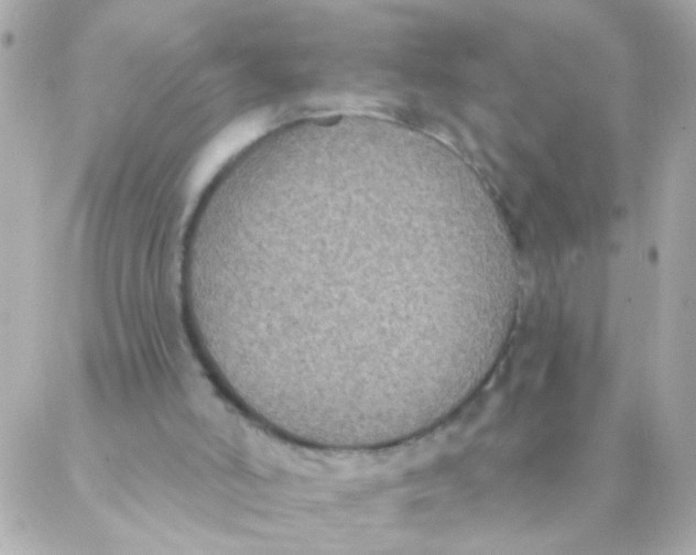 X0000088220006200706051334