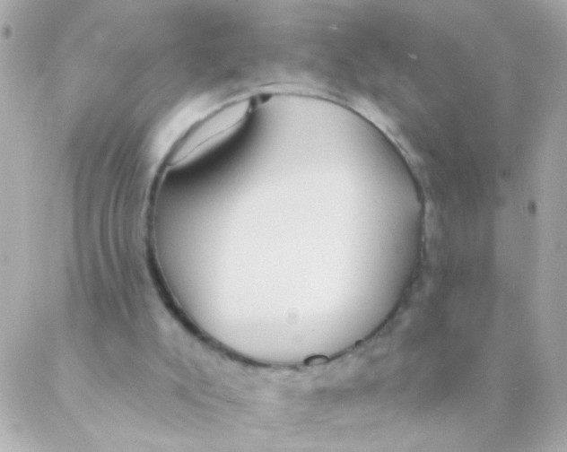 X0000088220007200706051334