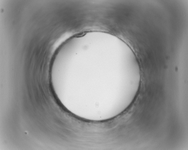 X0000088220008200706051334