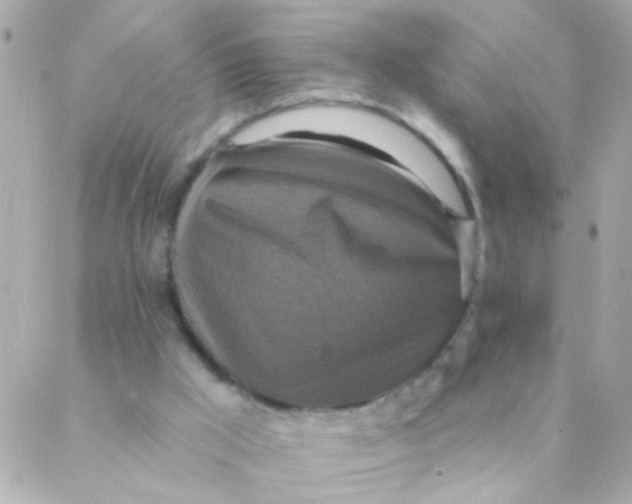 X0000088220009200706051334