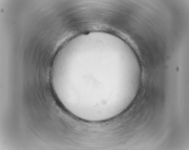 X0000088220010200706051334