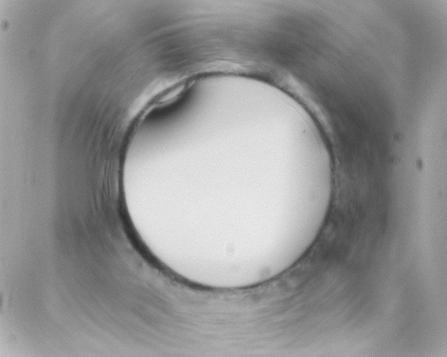 X0000088220011200706051334