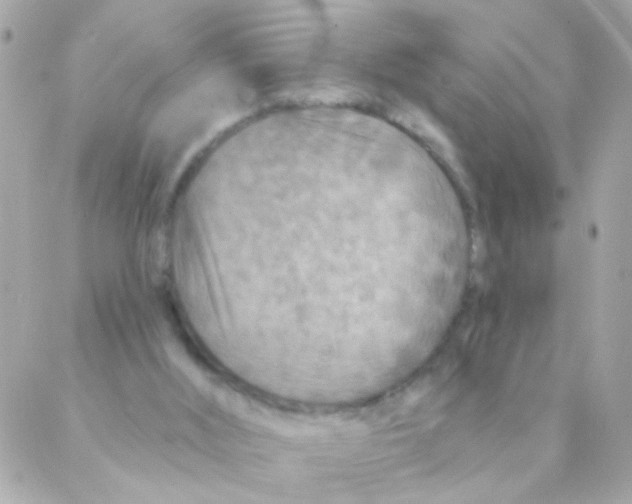 X0000088220012200706051334