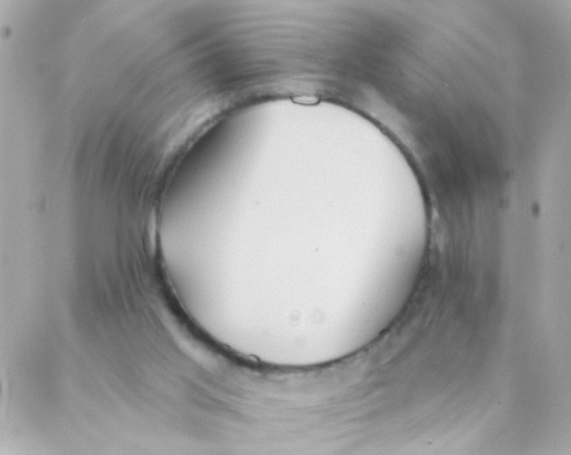 X0000088220013200706051334