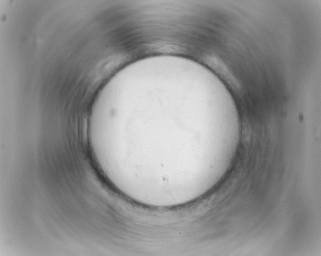 X0000088220014200706051334