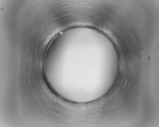 X0000088220015200706051334