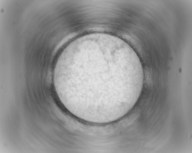 X0000088220016200706051334