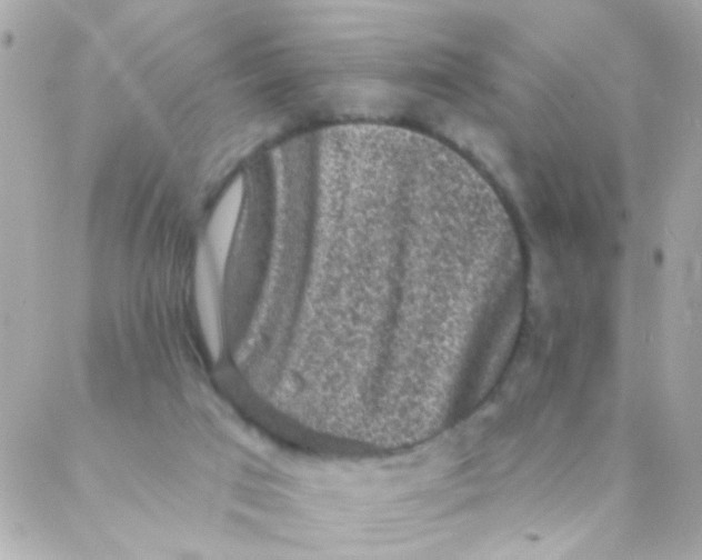 X0000088220017200706051334