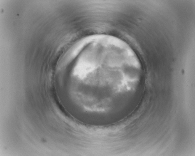 X0000088220018200706051334