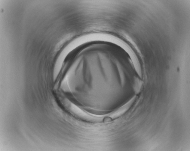 X0000088220019200706051334