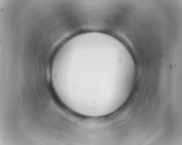 X0000088220020200706051334