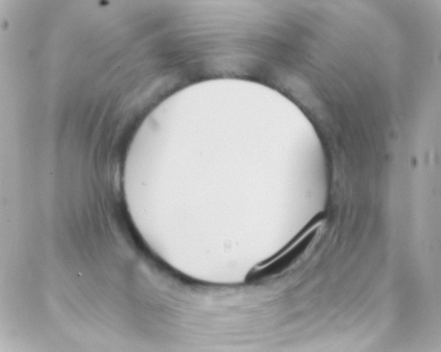 X0000088220021200706051334