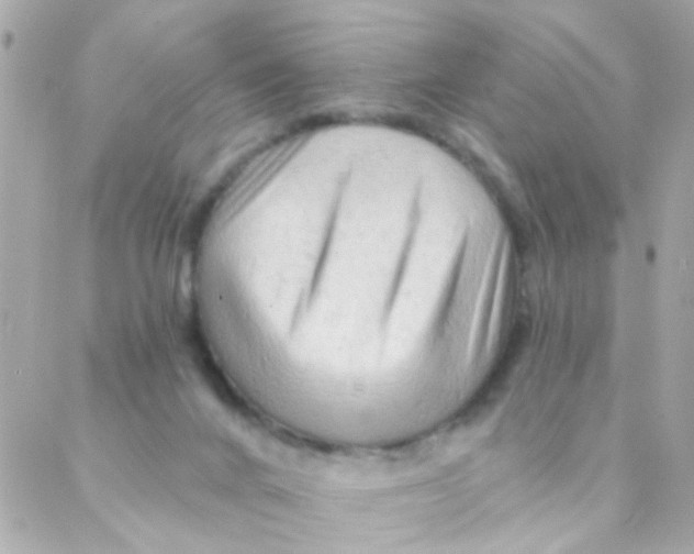 X0000088220024200706051334