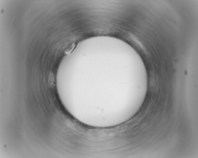 X0000088220025200706051334