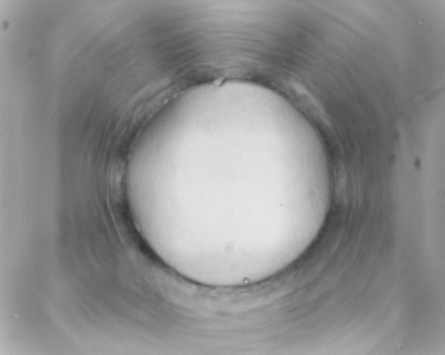 X0000088220026200706051334