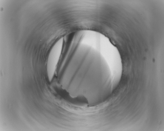 X0000088220027200706051334