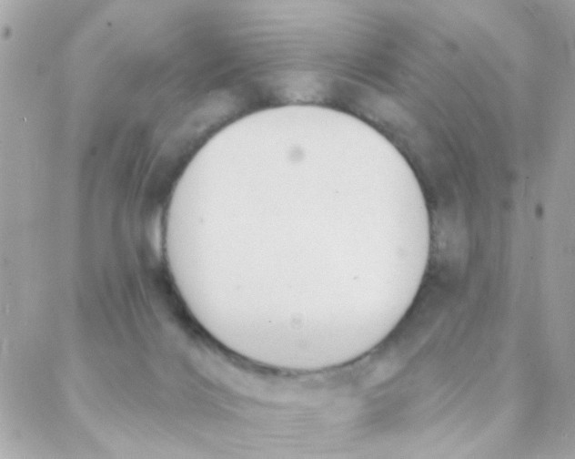 X0000088220028200706051334