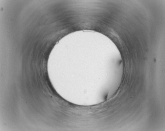 X0000088220029200706051334