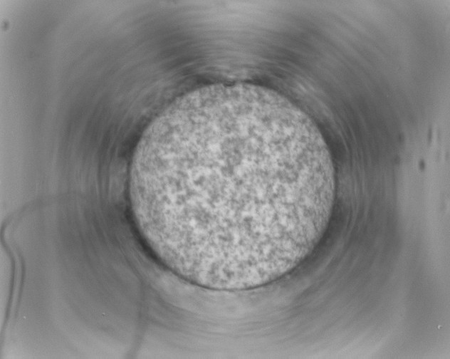 X0000088220030200706051334