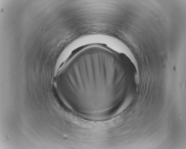 X0000088220031200706051334