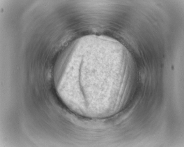 X0000088220032200706051334