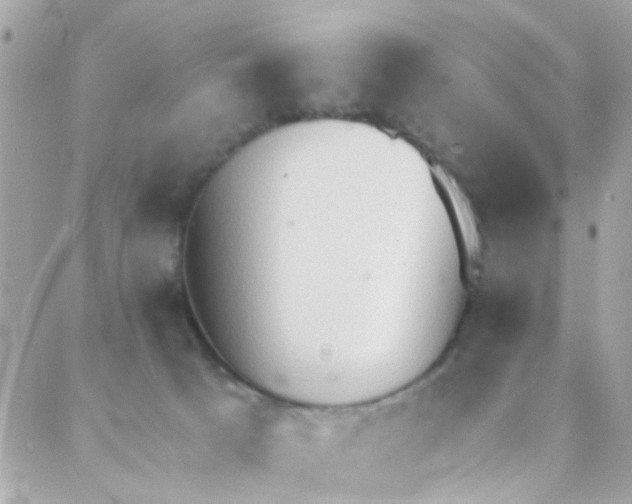 X0000088220033200706051334