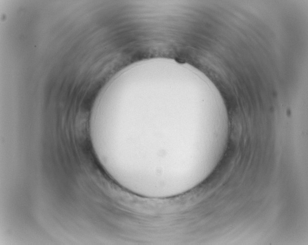 X0000088220034200706051334