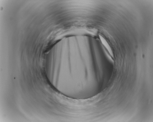 X0000088220035200706051334