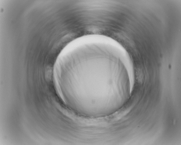 X0000088220036200706051334