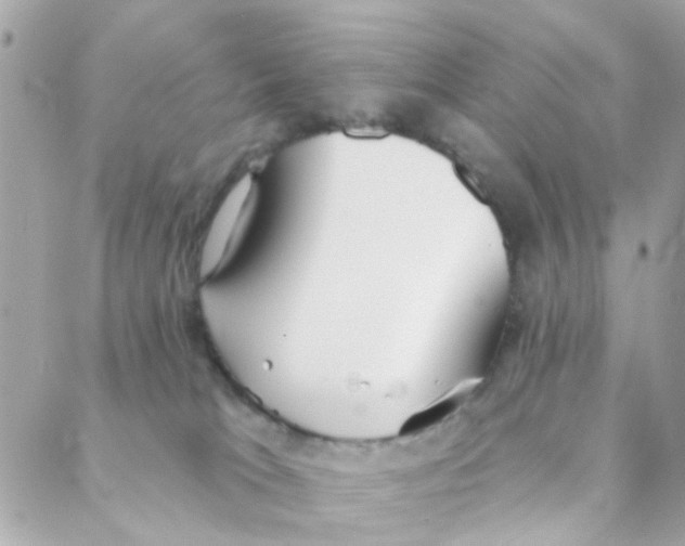 X0000088220037200706051333