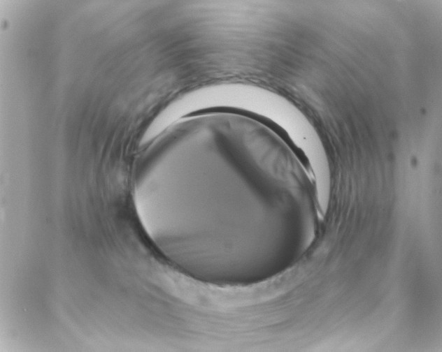 X0000088220039200706051333