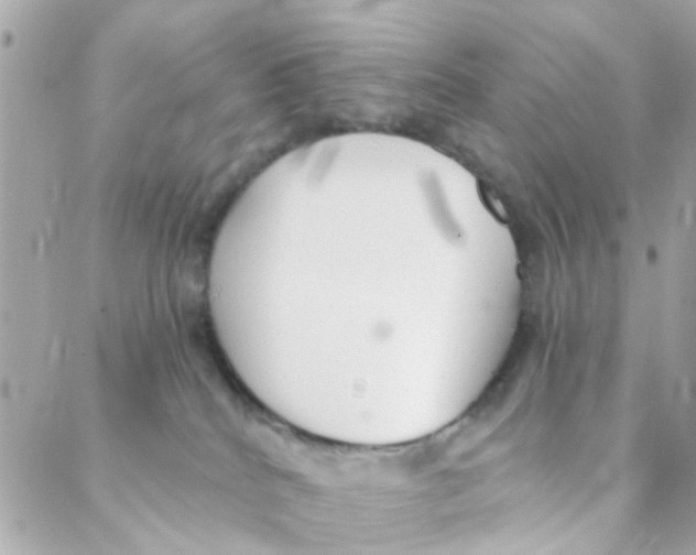 X0000088220040200706051333