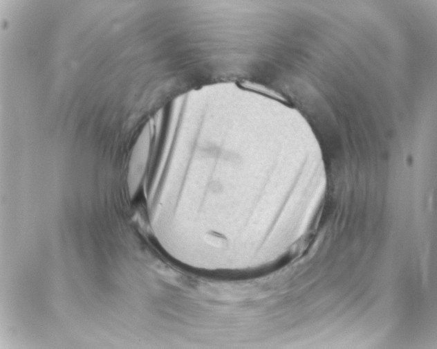 X0000088220041200706051333